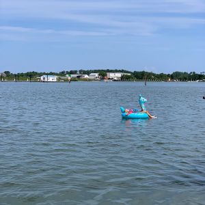 naptime-on-the-bunny-float.jpg