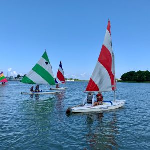 4-sunfish-sailing-around.jpg