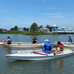 cruising-past-the-shore-5112.jpg