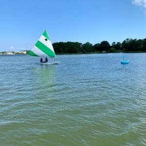 green-and-white-heads-for-the-bunny-float.jpg