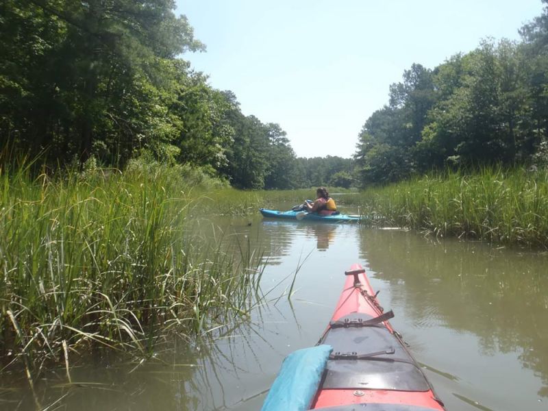 wetland-canoeing.jpg