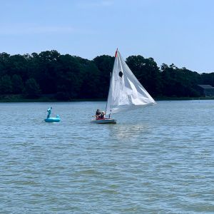 sailors-head-for-the-bunny-float.jpg