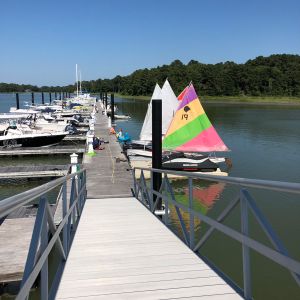 boats at the dock